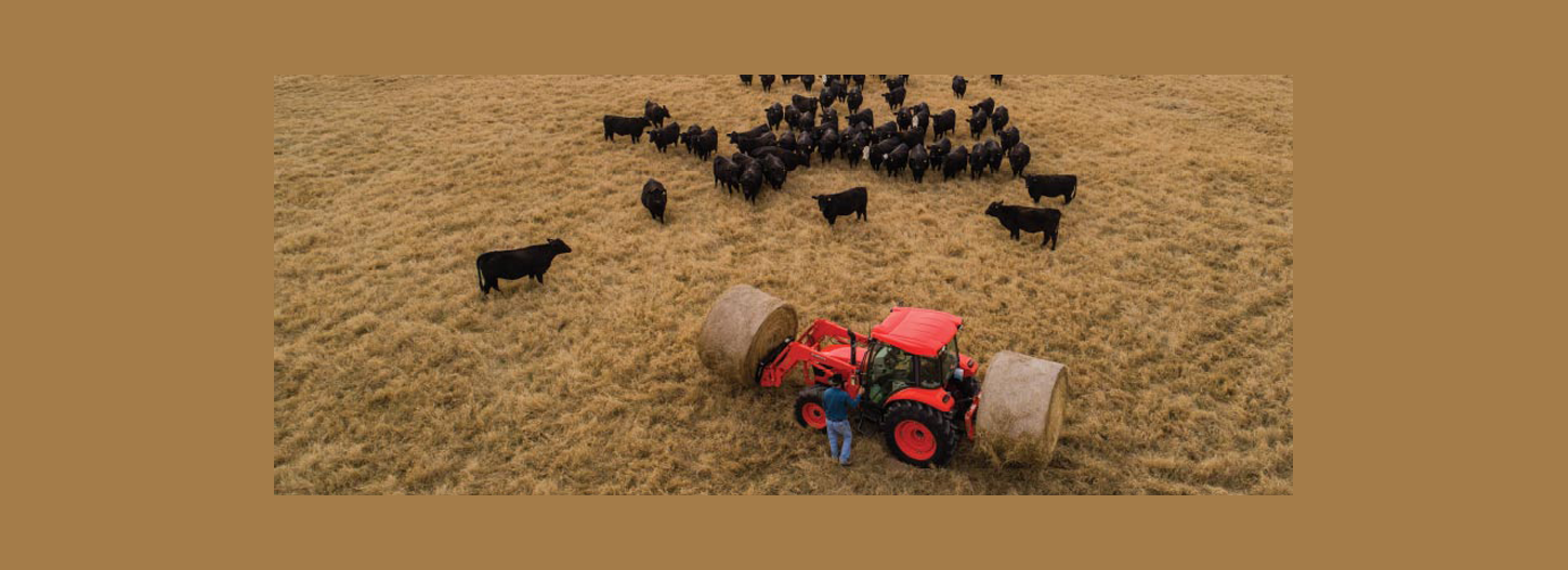 Belzer Equipment, Inc Albia, Iowa Kubota and New Holland Equipment